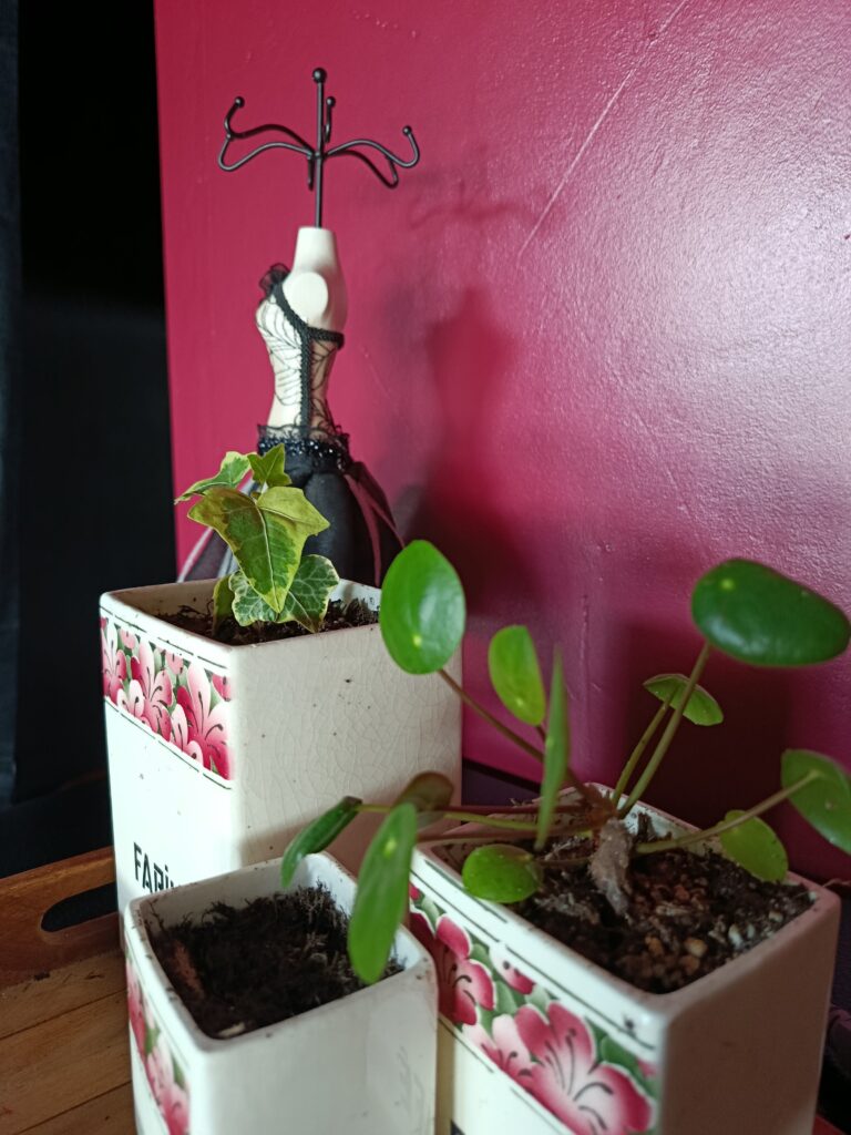 10.GROSPLANTS