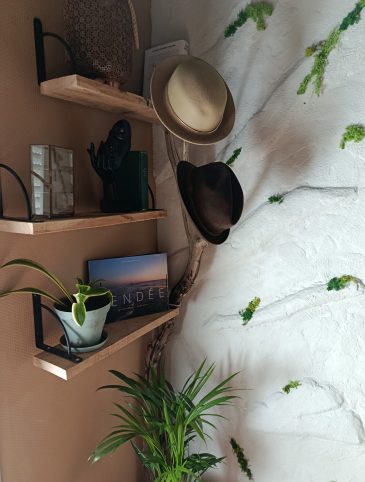 5.PLANTES_SALON