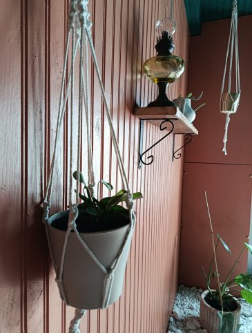 9.PLANTES_CH
